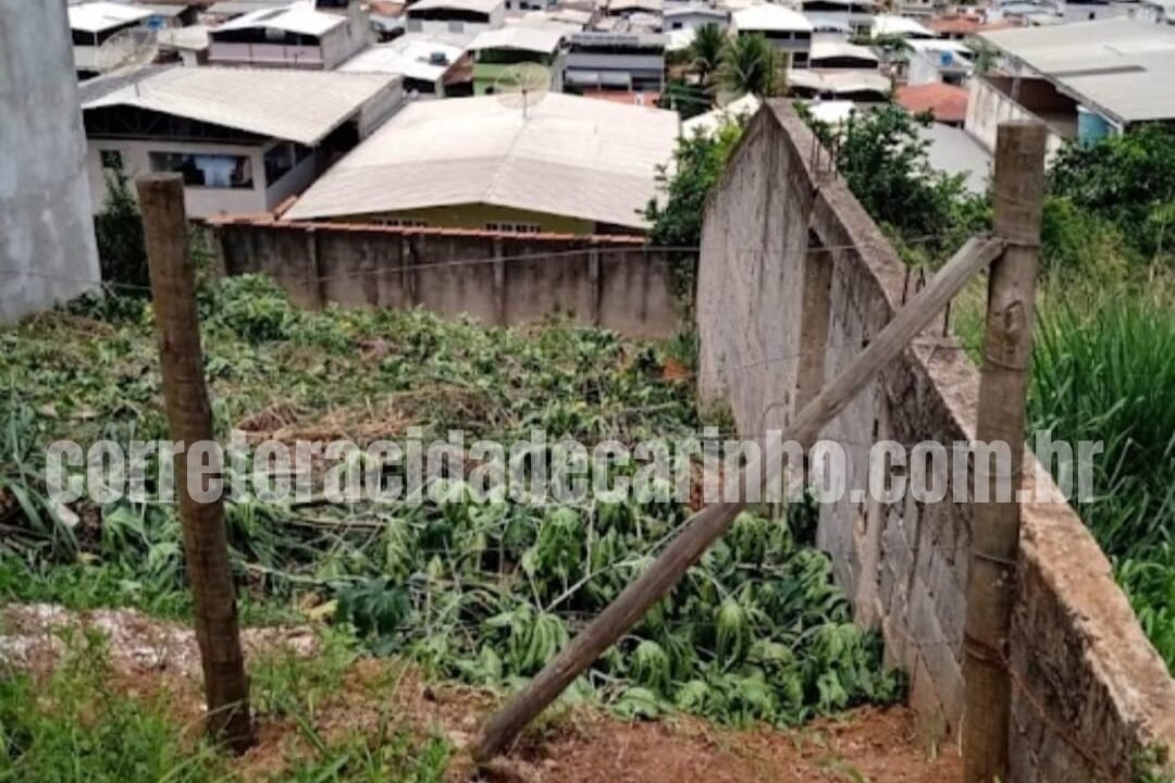 c6b04c81-b46a-4ff5-b658-09e5328d0cda