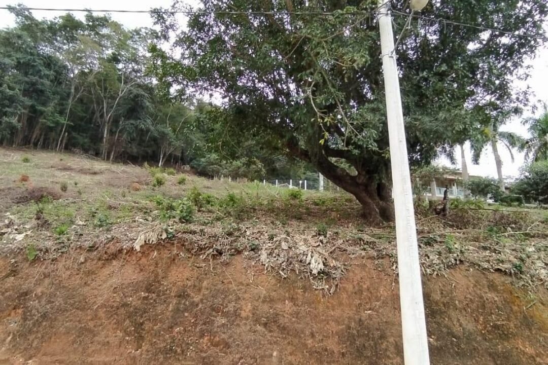 WhatsApp-Image-2020-08-19-at-13.21.17