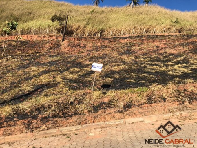 Vende-se Lote Pertinho do Trevo do Peixoto filho em Ubá Mg.