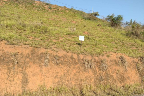 lote1