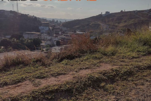 lote3