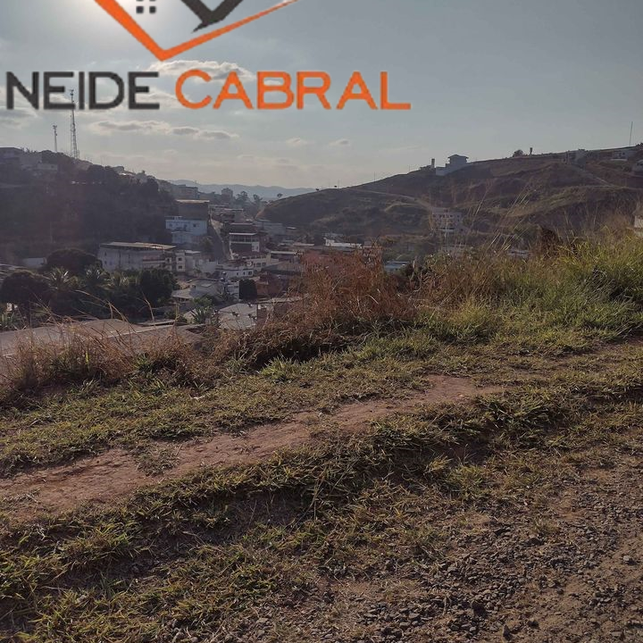 lote3