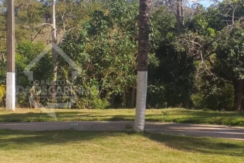 Imagem do WhatsApp de 2024-07-16 à(s) 14.23.34_c19cb0a5