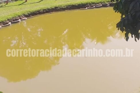 abd5e849-c6c1-4480-8b62-6fe94e0b9c6c
