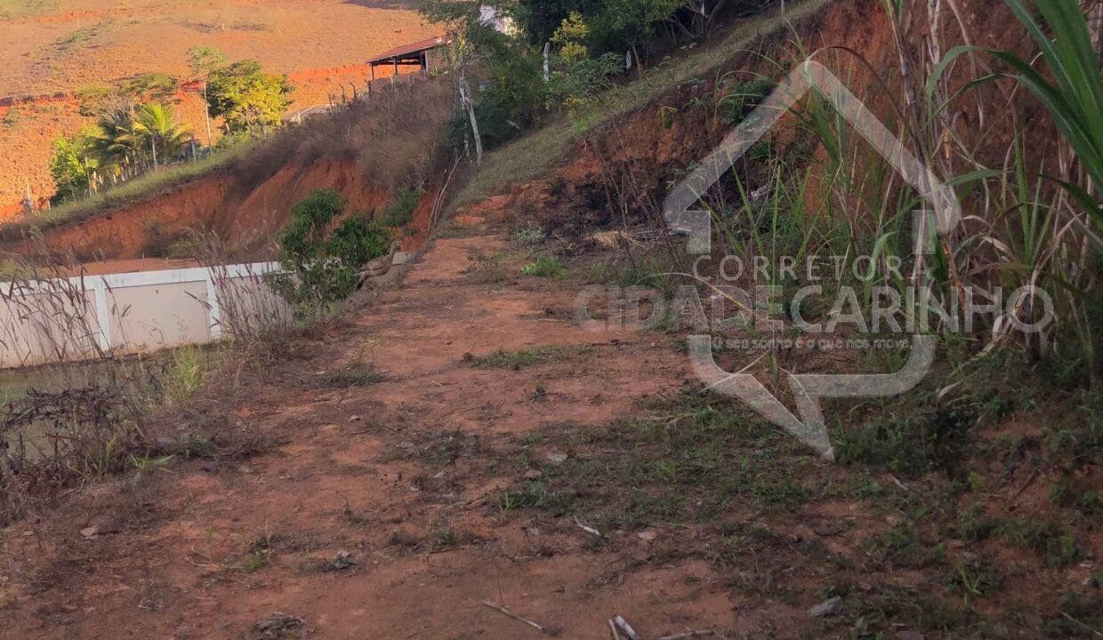 Imagem do WhatsApp de 2024-07-29 à(s) 17.02.17_3fb0c437