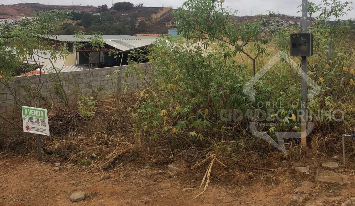 Imagem do WhatsApp de 2024-08-26 à(s) 16.12.23_541d561f