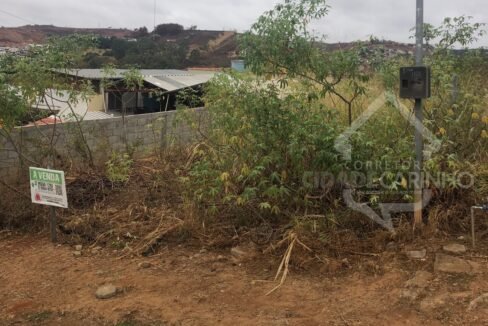 Imagem do WhatsApp de 2024-08-26 à(s) 16.12.23_541d561f