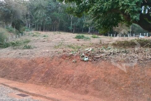 Imagem do WhatsApp de 2024-09-04 à(s) 15.16.30_c64d6376
