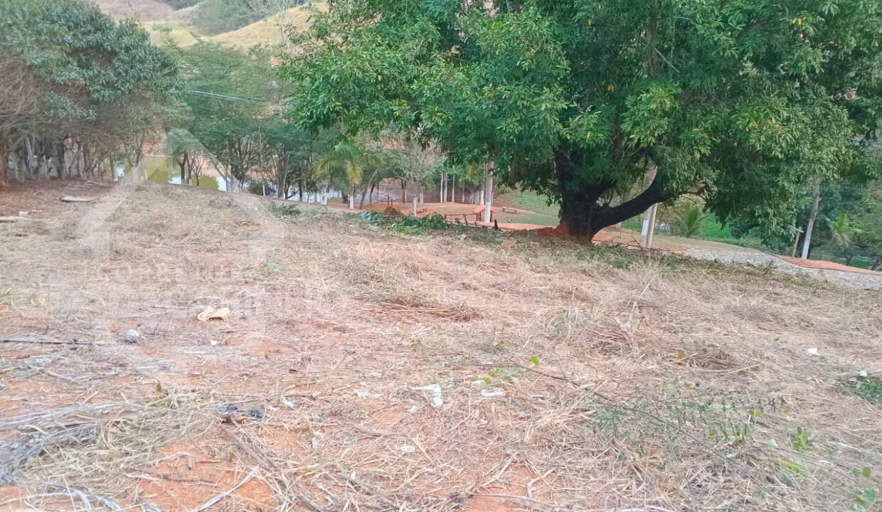 Imagem do WhatsApp de 2024-09-04 à(s) 15.16.31_9c308a3d