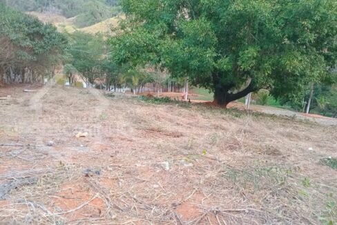 Imagem do WhatsApp de 2024-09-04 à(s) 15.16.31_9c308a3d