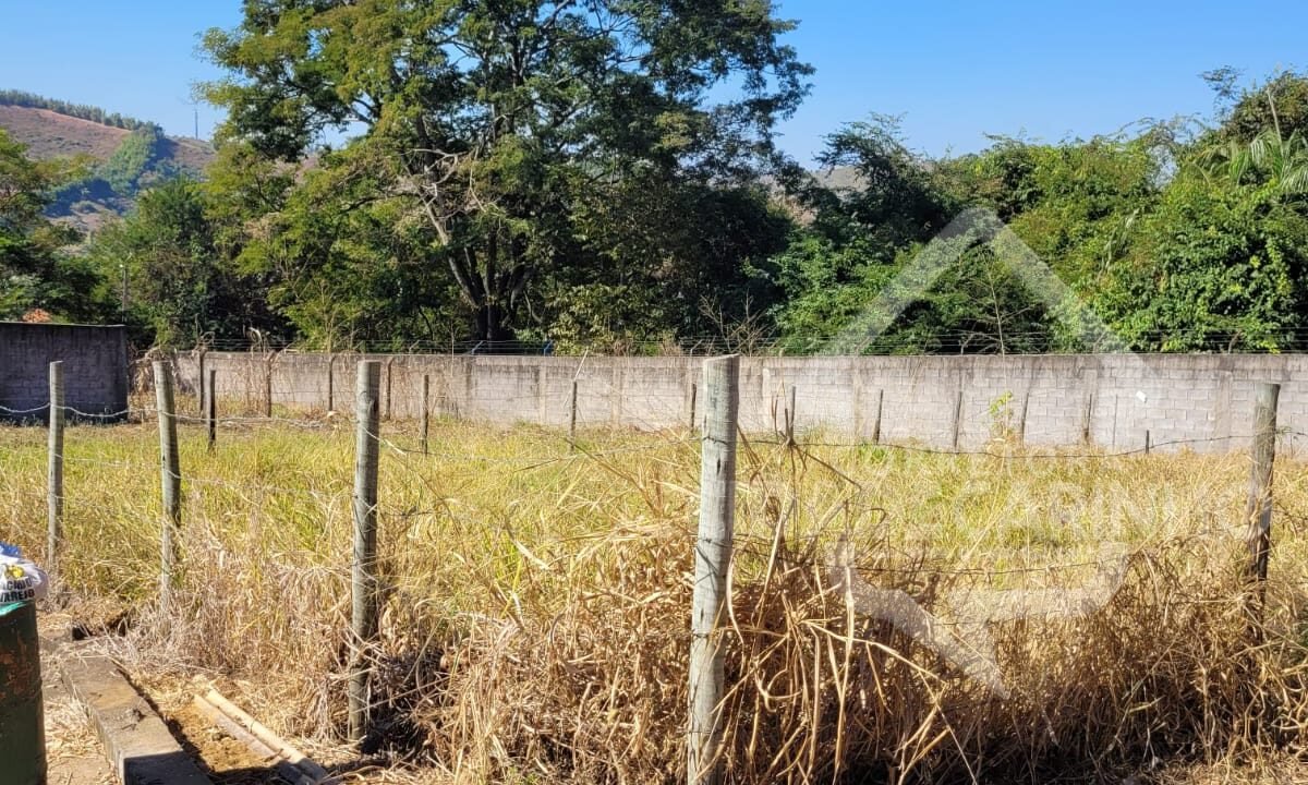 Imagem do WhatsApp de 2024-09-11 à(s) 15.06.43_5d8d5203