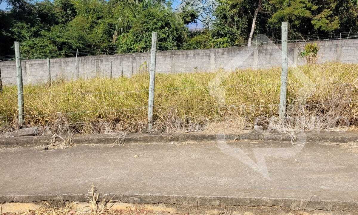 Imagem do WhatsApp de 2024-09-11 à(s) 15.06.43_7e594b11