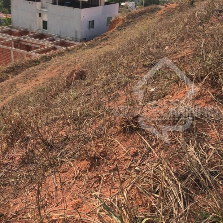 Imagem do WhatsApp de 2024-10-03 à(s) 15.47.10_0770fa8a
