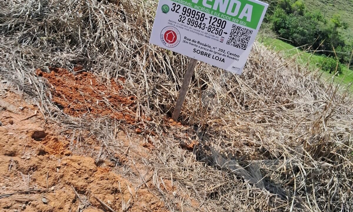 Imagem do WhatsApp de 2024-10-31 à(s) 17.44.51_4054dea1