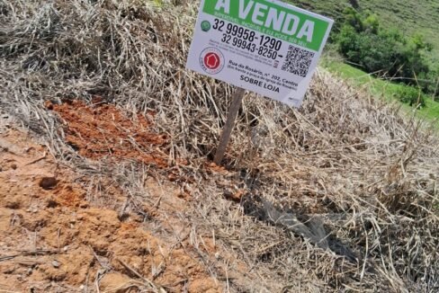 Imagem do WhatsApp de 2024-10-31 à(s) 17.44.51_4054dea1