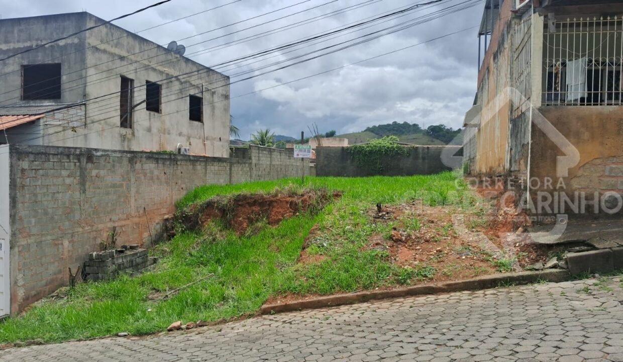 Imagem do WhatsApp de 2024-11-04 à(s) 15.46.43_40bf8f6f