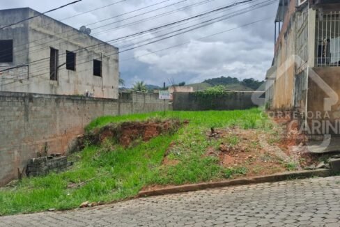 Imagem do WhatsApp de 2024-11-04 à(s) 15.46.43_40bf8f6f