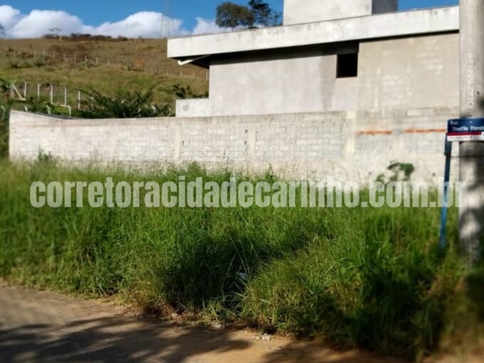 “UMA TELA EM BRANCO ONDE SUAS IDÉIAS GANHAM VIDA E FLORESCEM” NO CYRO FERNANDES