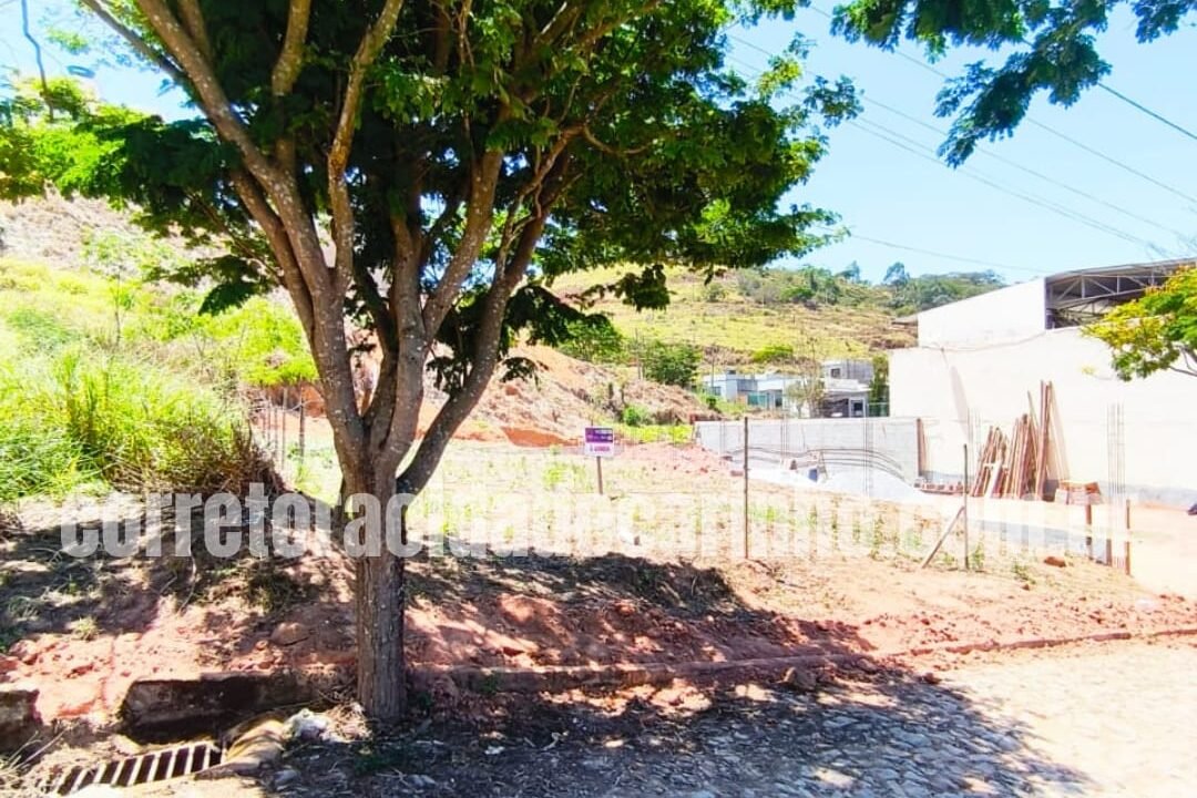 8053495d-83eb-4c85-8ba4-f9c51bbe8daa