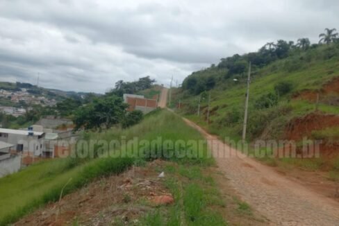 9857760c-6078-439c-b95f-9166916b6b36