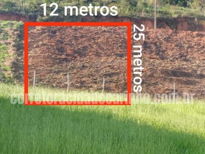 “A DECISÃO CERTA É AQUELA QUE UNE DESEJO E OPORTUNIDADE” NO PAULINO FERNANDES