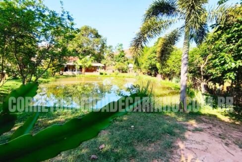 3fe25b4d-a942-431b-a537-e8ef0003c96a