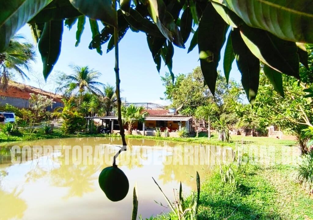 a6c45273-7bdb-4abe-b7ae-de2d6f48349c