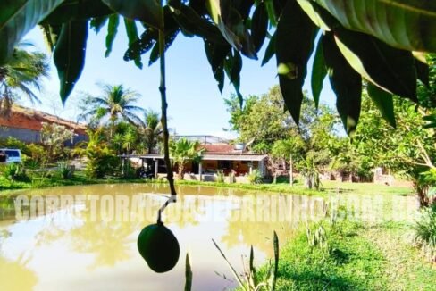 a6c45273-7bdb-4abe-b7ae-de2d6f48349c