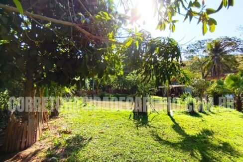 ac0d7252-d257-4b74-b9f0-326ce362887a