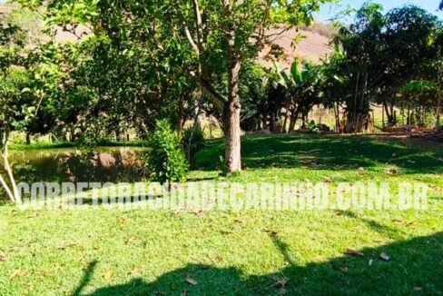 be7e7ab0-b2e8-439c-8ea1-3f0a2feedbd3