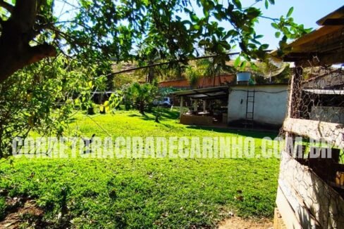 c2fbd329-e31f-4a28-a57c-4e3b5b946b50