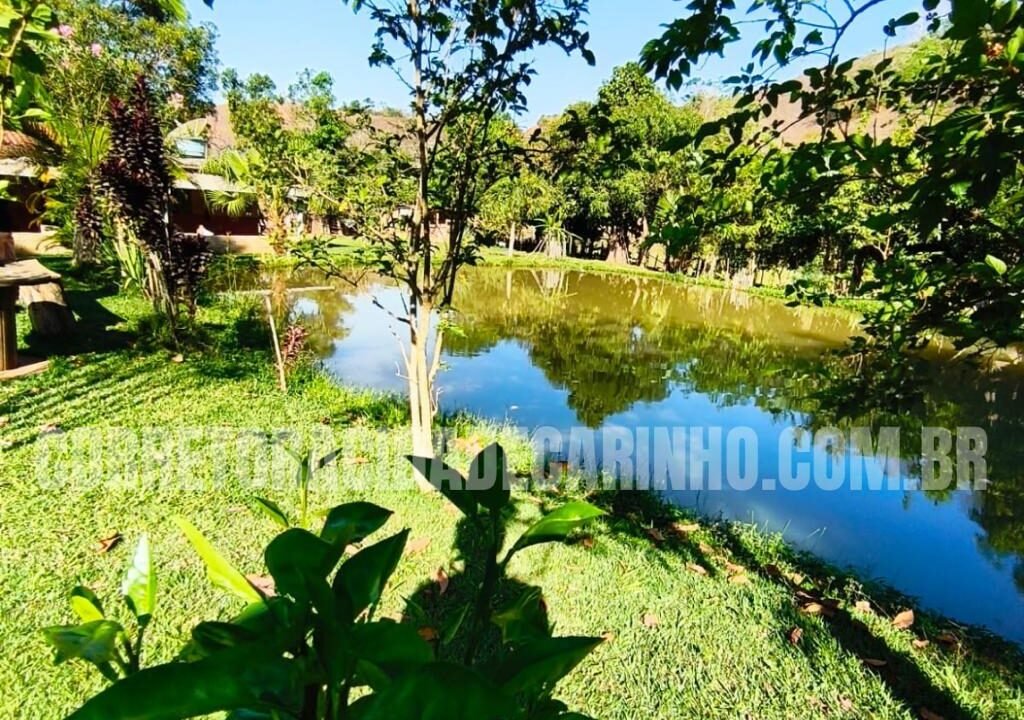 c528d2be-e665-4707-b60c-d951ca399d19