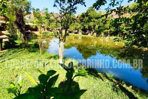 c528d2be-e665-4707-b60c-d951ca399d19