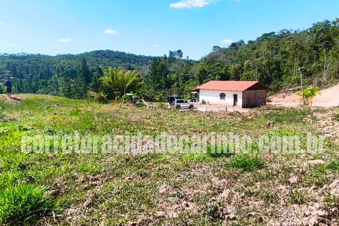 d584844e-60d2-426a-a9ff-caabd7b8794a