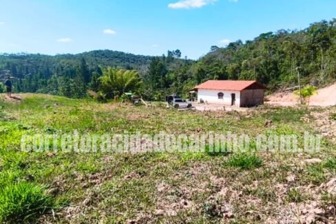 d584844e-60d2-426a-a9ff-caabd7b8794a