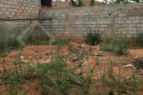 dd31ff81-f572-46a0-abc2-250cab0b0c99