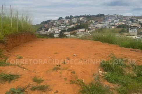 00a69b19-4ff8-4188-866b-23343b01434f