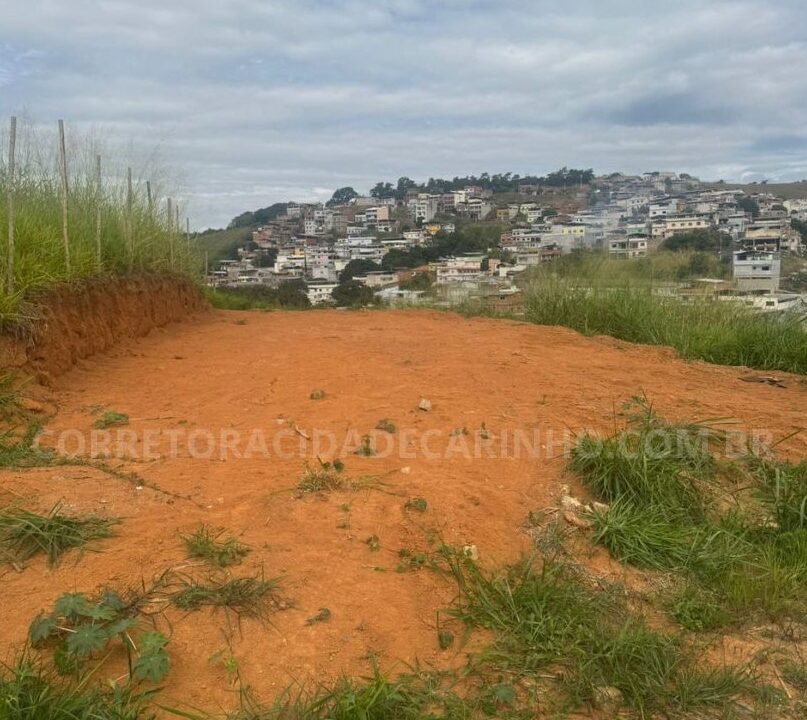 00a69b19-4ff8-4188-866b-23343b01434f