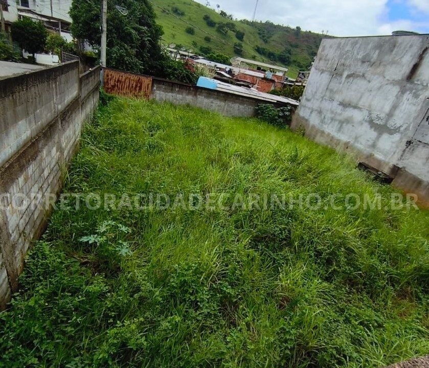 09c120cc-7557-4eca-b6d1-de442bf28a0b