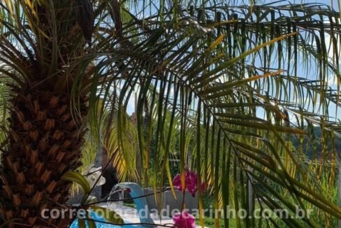 1830154c-65b6-499d-8a1c-ed0b5c55e3fd