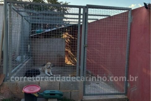 3ccc401c-c007-46c5-bfdb-8c94e5409a5b