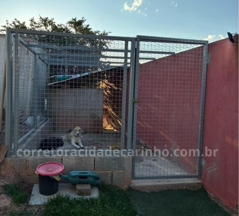 3ccc401c-c007-46c5-bfdb-8c94e5409a5b