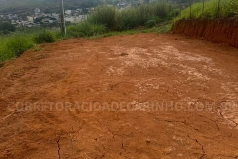 f8aa4676-5087-4896-9029-c914a8e11180