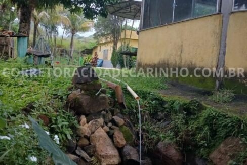 1f3f4955-c31a-42ad-9b74-1d963f1ed725