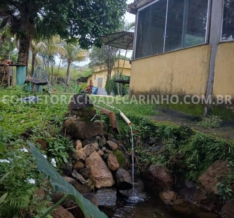 1f3f4955-c31a-42ad-9b74-1d963f1ed725