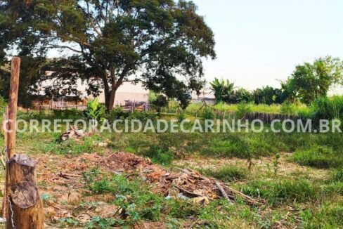 48173578-88e9-463c-beec-8c5c449fdd78