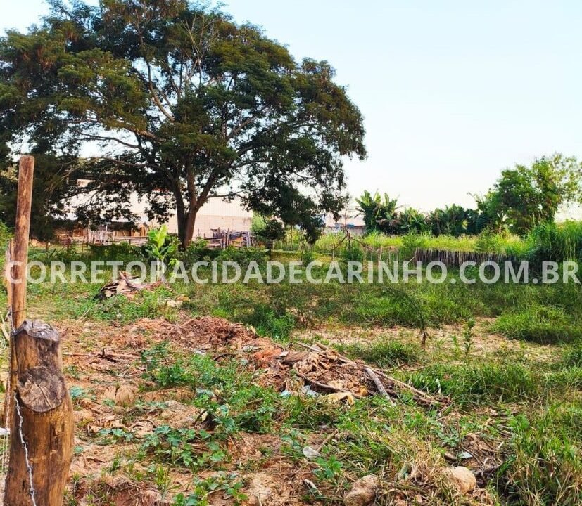 48173578-88e9-463c-beec-8c5c449fdd78