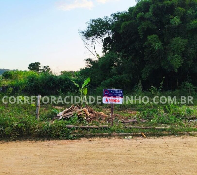 495693e8-d0de-4c41-912e-974f13f3ab82