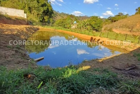 6c0e1bdc-1574-40e2-a965-8fda380bf468