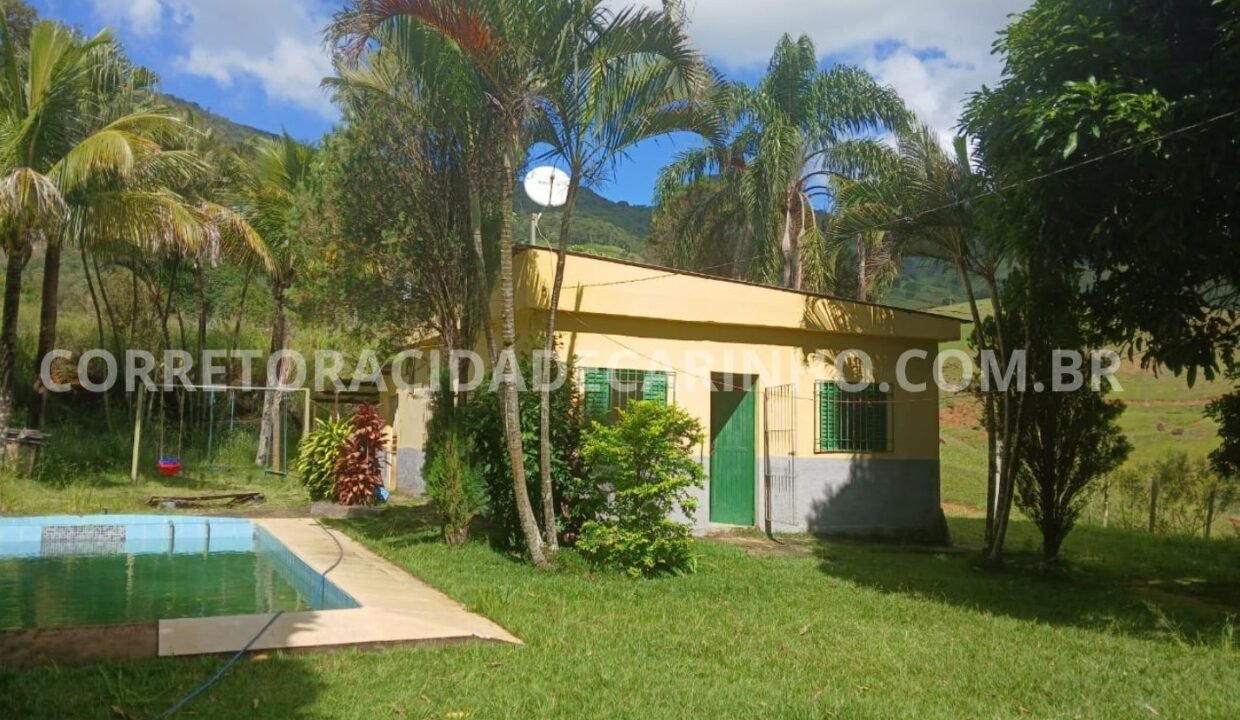 703828b8-e30d-4d7d-8eea-cbbcea7a0ba2